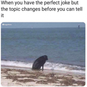 Stupid Bar Memes 8f0ed4fc7b1ac6fd