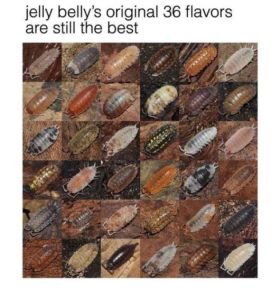 Stupid Bar Memes 9aRhD2i