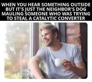Stupid Bar Memes 9e50ab3026f6df5a