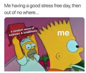 Stupid Bar Memes AeETOAG