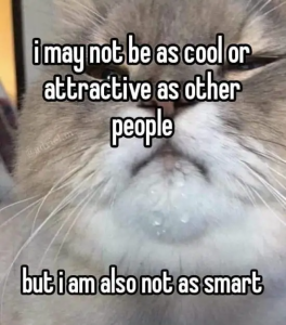 Stupid Bar Memes EW2VFK3
