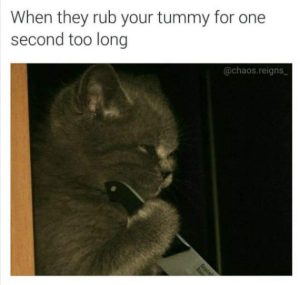 Stupid Bar Memes KXC8ESP