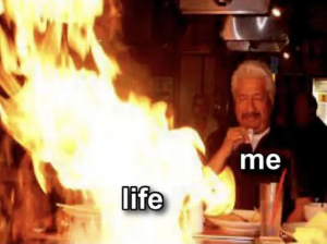 Stupid Bar Memes MDU9V6H