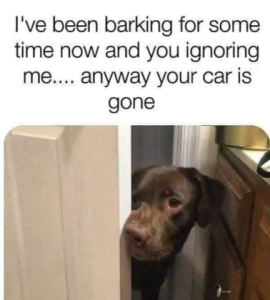 Stupid Bar Memes a2187f929b51c09d