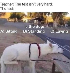Stupid Bar Memes a502d386301a87cc