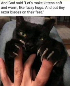 Stupid Bar Memes a723a9023c9f597c
