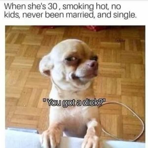 Stupid Bar Memes a87dxnQs700b