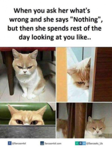 Stupid Bar Memes a886abd3cece8ba4