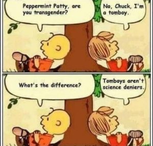Stupid Bar Memes a93dd2066a96cc0c