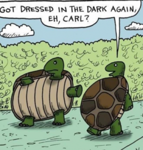 Stupid Bar Memes ab891df9149bf94c