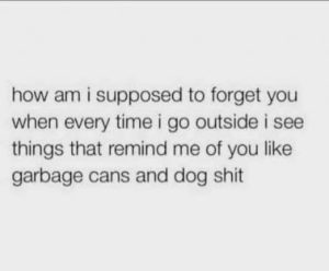 Stupid Bar Memes b4bd2ea4af7250f3