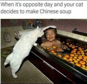 Stupid Bar Memes b5fa13cb2e906f04