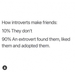 Stupid Bar Memes b6ee315facd169aa
