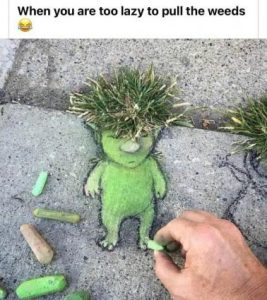 Stupid Bar Memes b93a04e4f8a1ef17