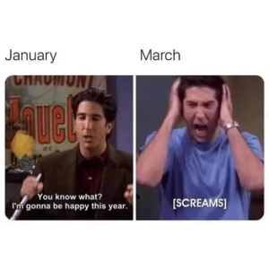 Stupid Bar Memes bsQNgrA