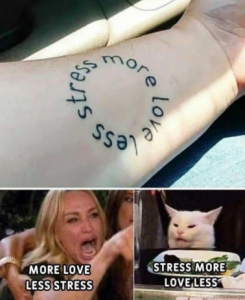 Stupid Bar Memes c18b5156731220dc
