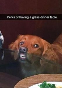 Stupid Bar Memes c45094de5ea7ea1e