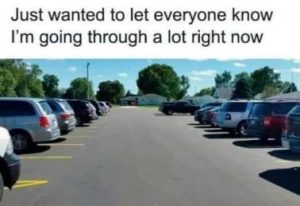 Stupid Bar Memes c5eb972853673f7c
