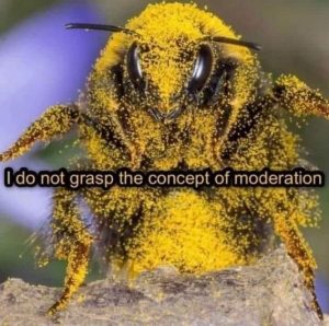 Stupid Bar Memes cc12ab265a4dc6d4