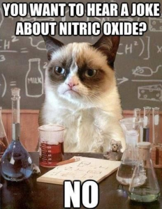 Stupid Bar Memes cc801b9e4c4b4afcaa87b88288a7ec7c
