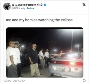 Stupid Bar Memes db28a9887ed27a16