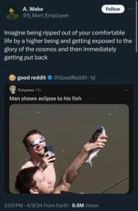 Stupid Bar Memes e2ae6eff8643c3f2