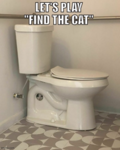 Stupid Bar Memes e45f2a076f336b15