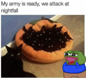 Stupid Bar Memes e681e5384f04d24e