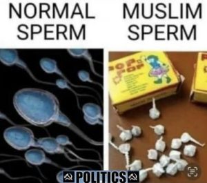 Stupid Bar Memes e96feb48c2b642b7