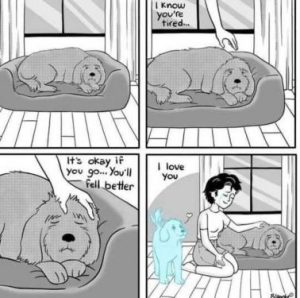 Stupid Bar Memes f61fa3c9fa5d7725