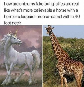 Stupid Bar Memes f6c3d2a3319b4dae