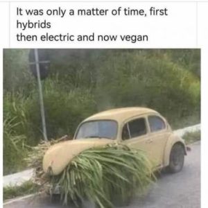 Stupid Bar Memes fbd1ba230ffa3f61
