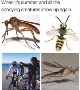Stupid Bar Memes fc788feb6bd044a9