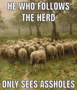Stupid Bar Memes fc9348ddb28a61b2