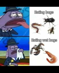Stupid Bar Memes ff9bf297766a1049