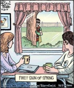 Stupid Bar Memes firstdayofspring