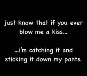Stupid Bar Memes funnyspicss640s35s5f02f7