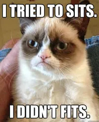 Stupid Bar Memes gcfits45