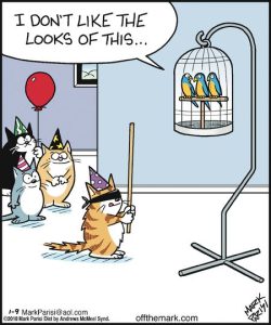 Stupid Bar Memes kittypartyfun