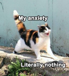 Stupid Bar Memes laughstherapysmemessthatsnailsmentalshealthsstruggless640shighs06