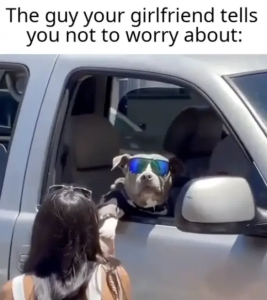 Stupid Bar Memes m27r48