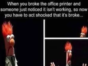 Stupid Bar Memes politicallys3411s