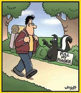 Stupid Bar Memes pullmyfingerskunk