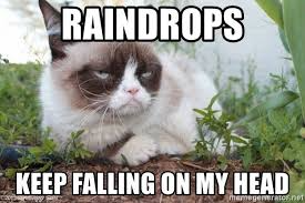 Stupid Bar Memes raindropsgc