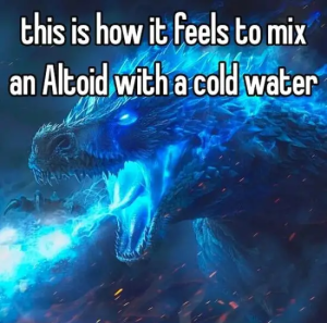Stupid Bar Memes shitheadsteves438954676s432468752802756s599429566728237781sn