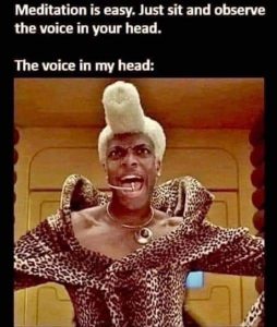 Stupid Bar Memes voiceinhead