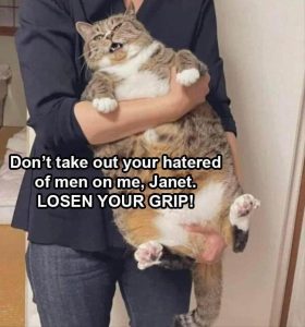 Stupid Bar Memes whens3thes3cats3askss3yous3tos3losens3yours3grip