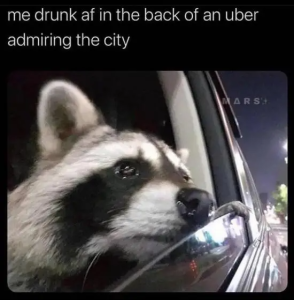 Stupid Bar Memes xgHmaLD