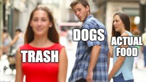 Stupid Bar Memes youresdog