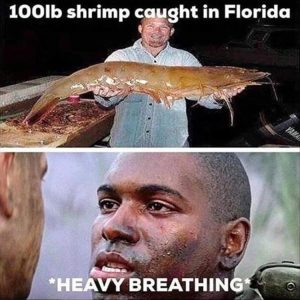 Stupid Bar Memes youresshrimp